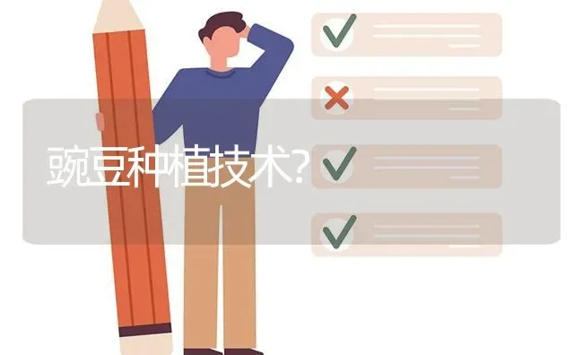 豌豆种植技术? | 养殖问题解答