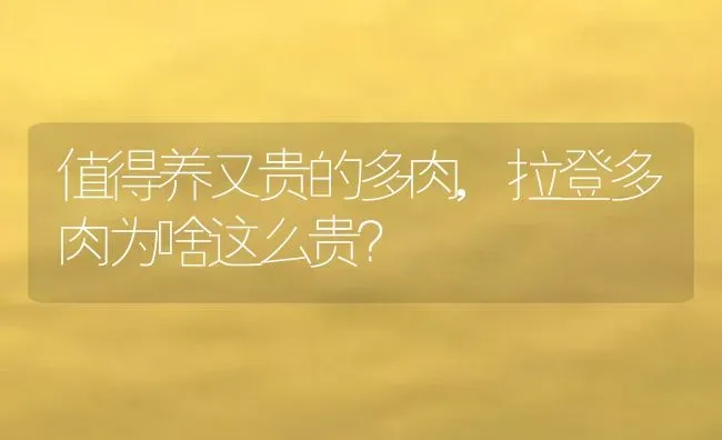 值得养又贵的多肉,拉登多肉为啥这么贵？ | 养殖常见问题