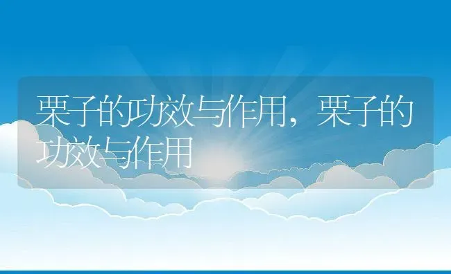 栗子的功效与作用,栗子的功效与作用 | 养殖常见问题