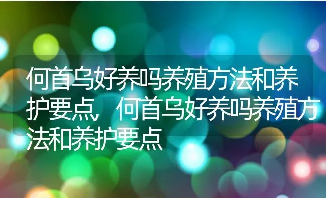 何首乌好养吗养殖方法和养护要点,何首乌好养吗养殖方法和养护要点 | 养殖常见问题