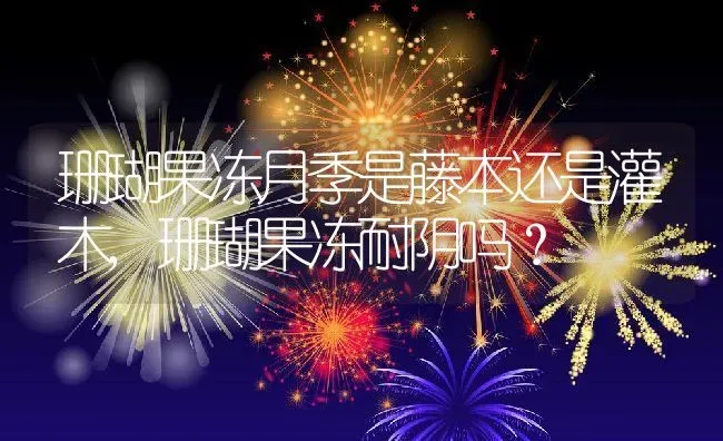 珊瑚果冻月季是藤本还是灌木,珊瑚果冻耐阴吗？ | 养殖常见问题