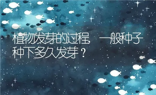 植物发芽的过程,一般种子种下多久发芽？ | 养殖常见问题