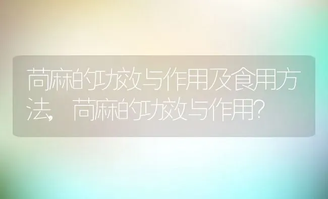 苘麻的功效与作用及食用方法,苘麻的功效与作用？ | 养殖常见问题