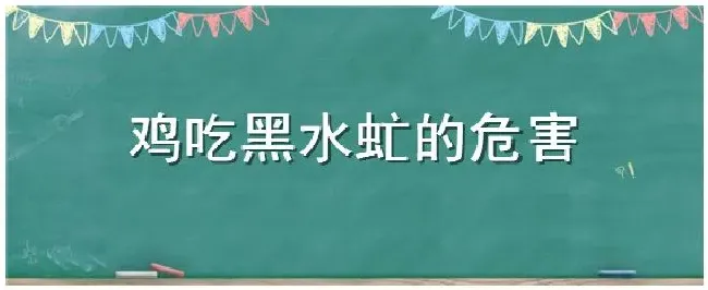 鸡吃黑水虻的危害 | 农业常识