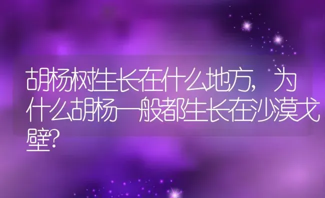 胡杨树生长在什么地方,为什么胡杨一般都生长在沙漠戈壁? | 养殖常见问题