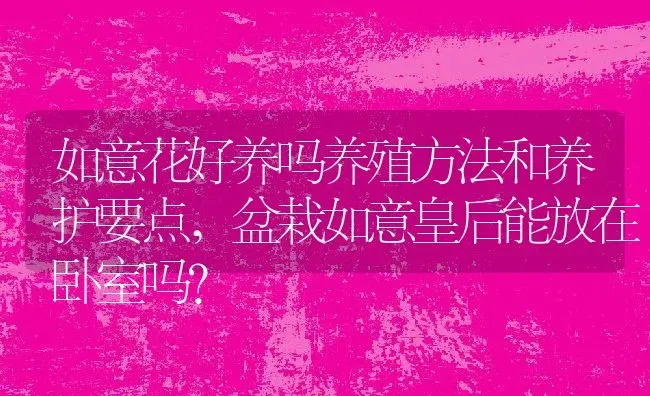 如意花好养吗养殖方法和养护要点,盆栽如意皇后能放在卧室吗？ | 养殖常见问题