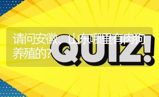 请问安徽、山东哪里有肉狗养殖的? | 养殖问题解答
