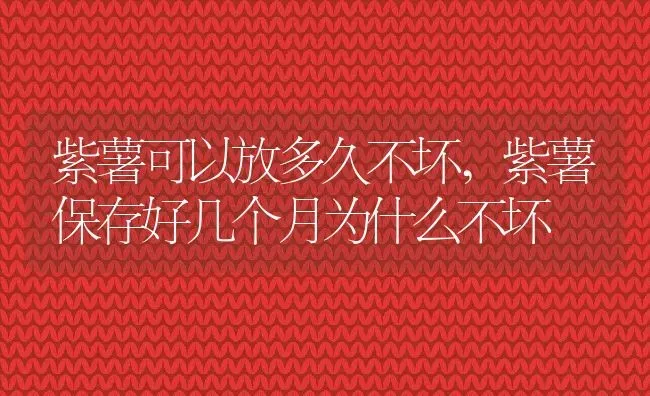 紫薯可以放多久不坏,紫薯保存好几个月为什么不坏 | 养殖常见问题