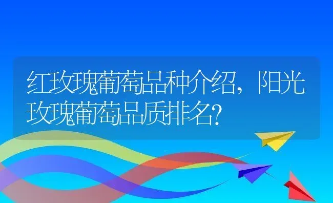 红玫瑰葡萄品种介绍,阳光玫瑰葡萄品质排名？ | 养殖常见问题