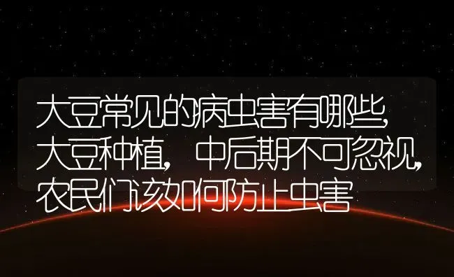 大豆常见的病虫害有哪些,大豆种植，中后期不可忽视，农民们该如何防止虫害 | 养殖常见问题