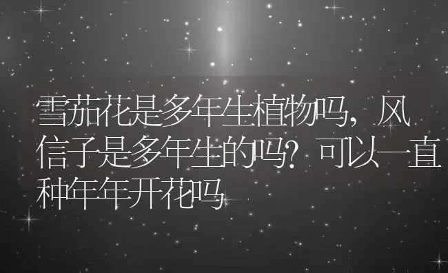 雪茄花是多年生植物吗,风信子是多年生的吗？可以一直种年年开花吗 | 养殖常见问题