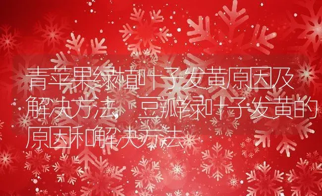 青苹果绿植叶子发黄原因及解决方法,豆瓣绿叶子发黄的原因和解决方法 | 养殖常见问题