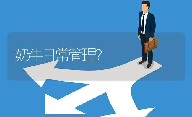 奶牛日常管理? | 养殖问题解答