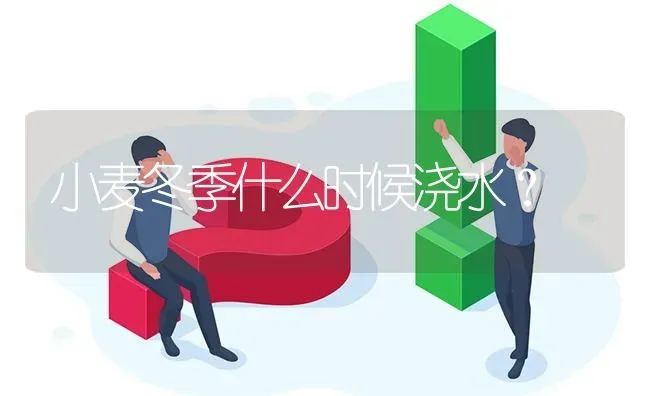 小麦冬季什么时候浇水? | 养殖问题解答