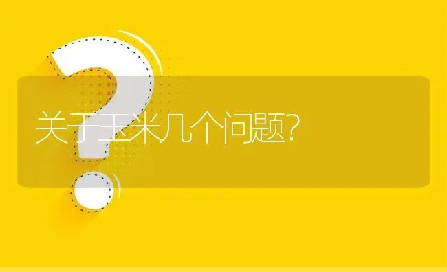 关于玉米几个问题? | 养殖问题解答