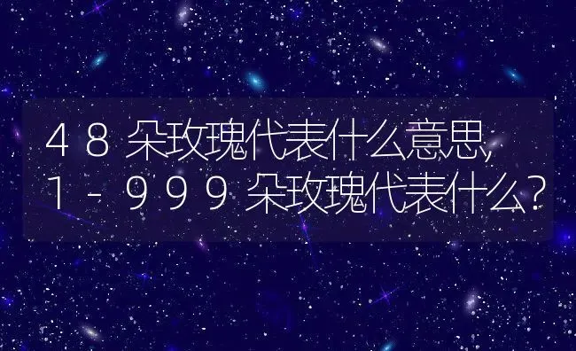 48朵玫瑰代表什么意思,1-999朵玫瑰代表什么？ | 养殖常见问题