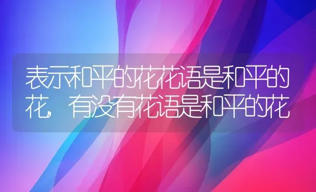 表示和平的花花语是和平的花,有没有花语是和平的花 | 养殖常见问题