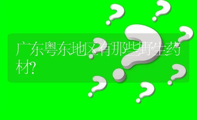 请问今年有特抗倒麦种吗? | 养殖问题解答