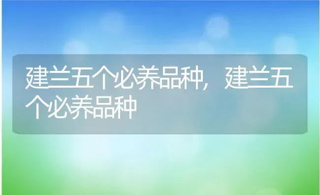 建兰五个必养品种,建兰五个必养品种 | 养殖常见问题