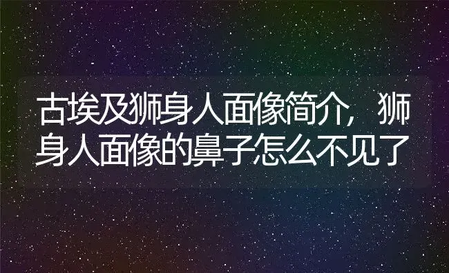 古埃及狮身人面像简介,狮身人面像的鼻子怎么不见了 | 养殖常见问题