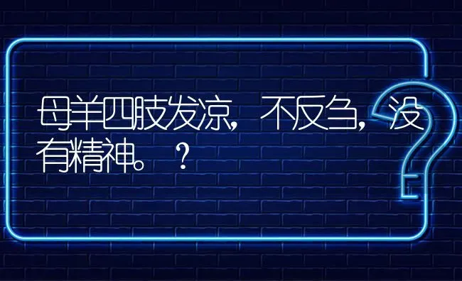 母羊四肢发凉,不反刍,没有精神。? | 养殖问题解答