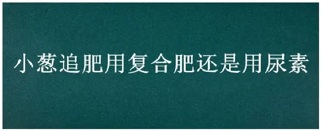 小葱追肥用复合肥还是用尿素 | 农业问题