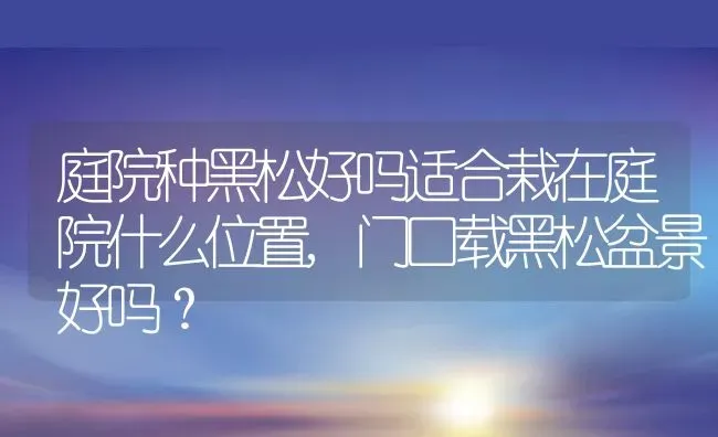 庭院种黑松好吗适合栽在庭院什么位置,门口载黑松盆景好吗？ | 养殖常见问题