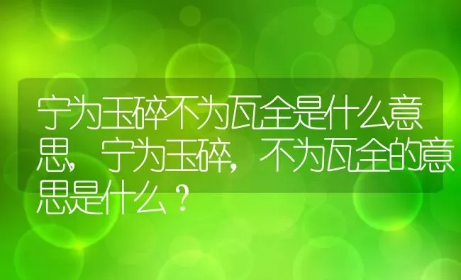 宁为玉碎不为瓦全是什么意思,宁为玉碎，不为瓦全的意思是什么？ | 养殖常见问题