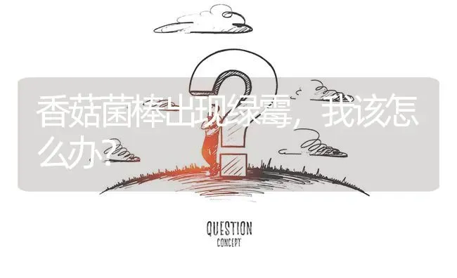 香菇菌棒出现绿霉,我该怎么办? | 养殖问题解答