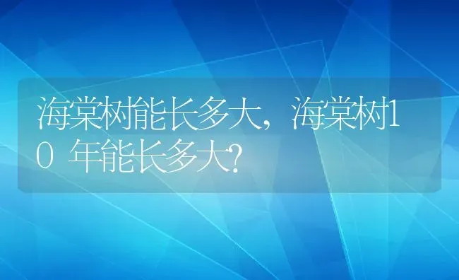 海棠树能长多大,海棠树10年能长多大？ | 养殖常见问题