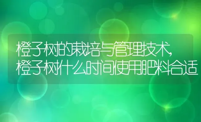 橙子树的栽培与管理技术,橙子树什么时间使用肥料合适 | 养殖常见问题