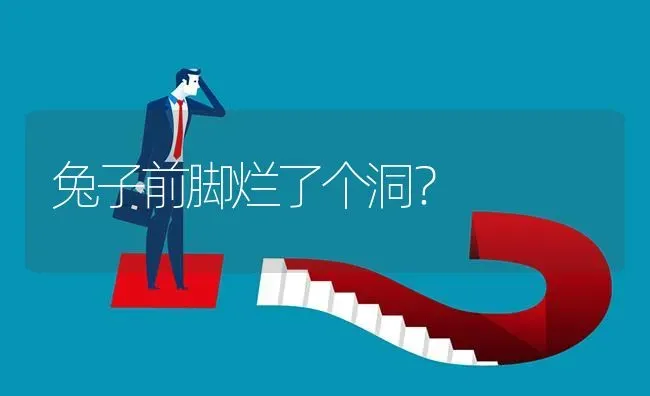 兔子前脚烂了个洞? | 养殖问题解答