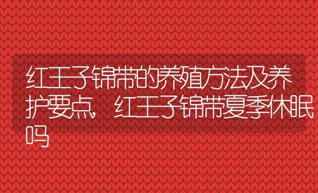 红王子锦带的养殖方法及养护要点,红王子锦带夏季休眠吗 | 养殖常见问题