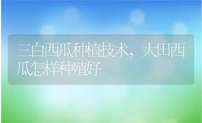 三白西瓜种植技术,大田西瓜怎样种殖好 | 养殖常见问题
