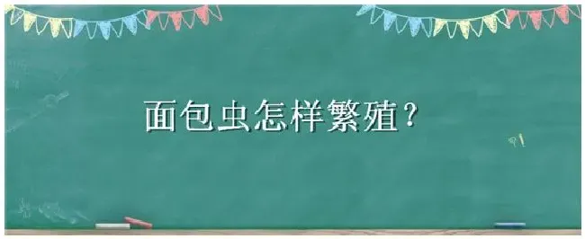 面包虫怎样繁殖 | 农业问题