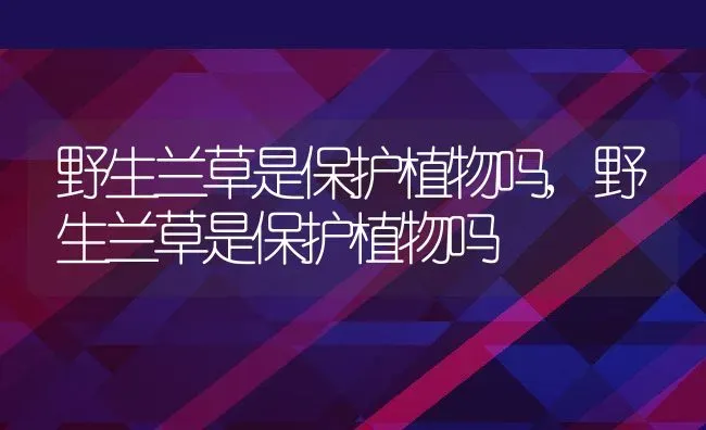 野生兰草是保护植物吗,野生兰草是保护植物吗 | 养殖常见问题