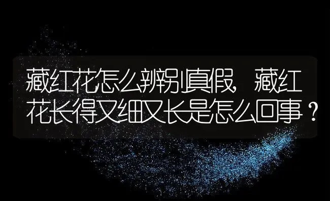 藏红花怎么辨别真假,藏红花长得又细又长是怎么回事？ | 养殖常见问题