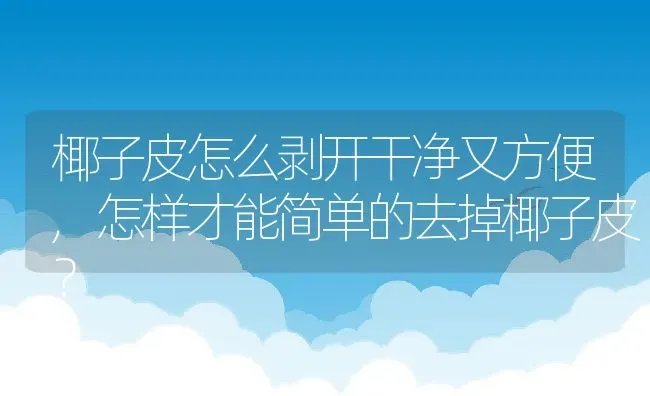 椰子皮怎么剥开干净又方便,怎样才能简单的去掉椰子皮？ | 养殖常见问题