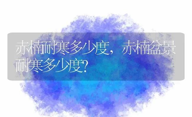 赤楠耐寒多少度,赤楠盆景耐寒多少度？ | 养殖常见问题