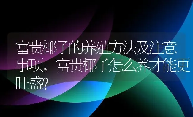 富贵椰子的养殖方法及注意事项,富贵椰子怎么养才能更旺盛？ | 养殖常见问题