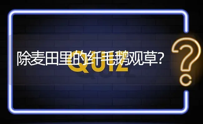 除麦田里的纤毛鹅观草? | 养殖问题解答