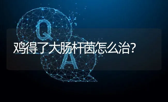 鸡得了大肠杆茵怎么治? | 养殖问题解答
