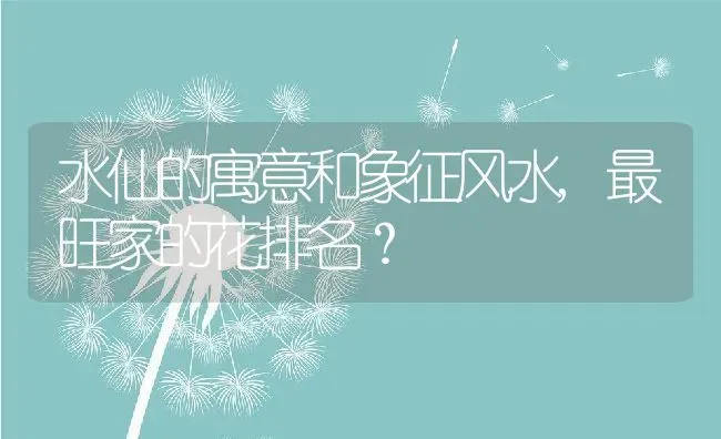 水仙的寓意和象征风水,最旺家的花排名？ | 养殖常见问题