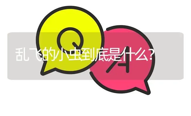 乱飞的小虫到底是什么? | 养殖问题解答