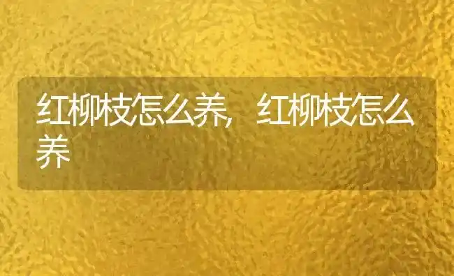 红柳枝怎么养,红柳枝怎么养 | 养殖常见问题