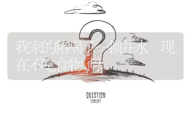 我家的猪喝了一顿井水 现在不吃食物了? | 养殖问题解答