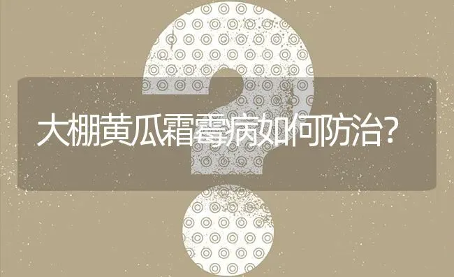 大棚黄瓜霜霉病如何防治? | 养殖问题解答