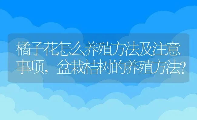 橘子花怎么养殖方法及注意事项,盆栽桔树的养殖方法？ | 养殖常见问题