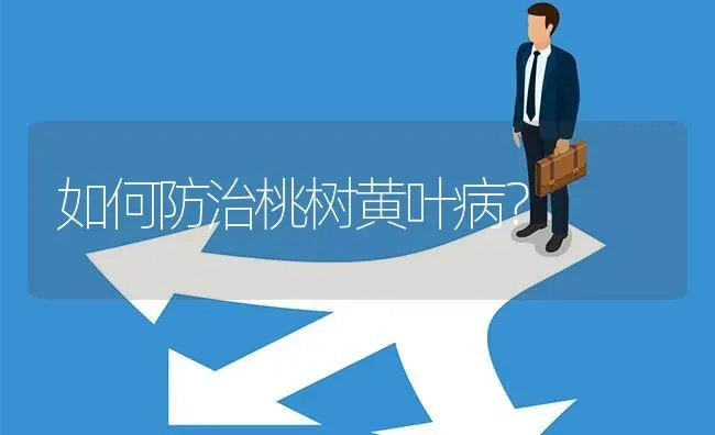 如何防治桃树黄叶病? | 养殖问题解答