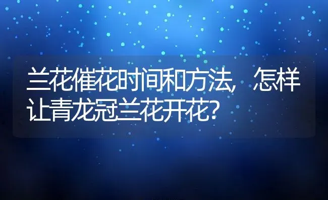 兰花催花时间和方法,怎样让青龙冠兰花开花？ | 养殖常见问题